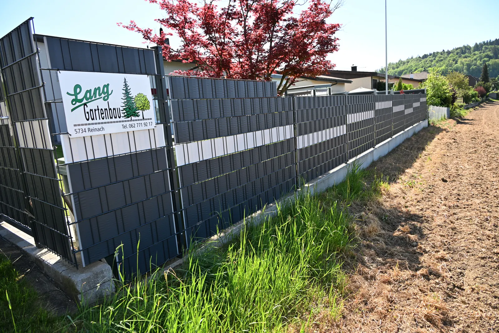 Sichtschutz — ausgeführte Arbeit von Lang Gartenbau